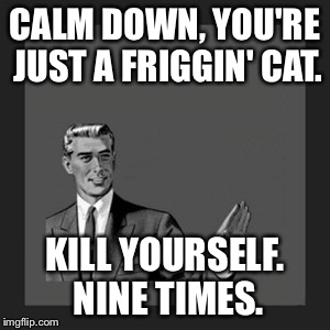Kill Yourself Guy Meme | CALM DOWN, YOU'RE JUST A FRIGGIN' CAT. KILL YOURSELF. NINE TIMES. | image tagged in memes,kill yourself guy | made w/ Imgflip meme maker