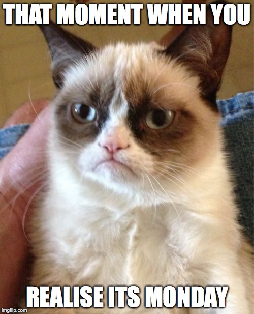 Grumpy Cat | THAT MOMENT WHEN YOU; REALISE ITS MONDAY | image tagged in memes,grumpy cat | made w/ Imgflip meme maker