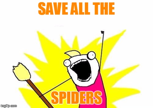 X All The Y Meme | SAVE ALL THE SPIDERS | image tagged in memes,x all the y | made w/ Imgflip meme maker