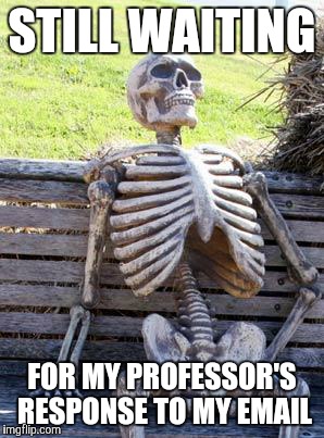 Waiting Skeleton | STILL WAITING; FOR MY PROFESSOR'S RESPONSE TO MY EMAIL | image tagged in memes,waiting skeleton | made w/ Imgflip meme maker
