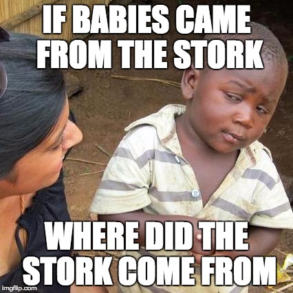 Third World Skeptical Kid Meme | IF BABIES CAME FROM THE STORK; WHERE DID THE STORK COME FROM | image tagged in memes,third world skeptical kid | made w/ Imgflip meme maker