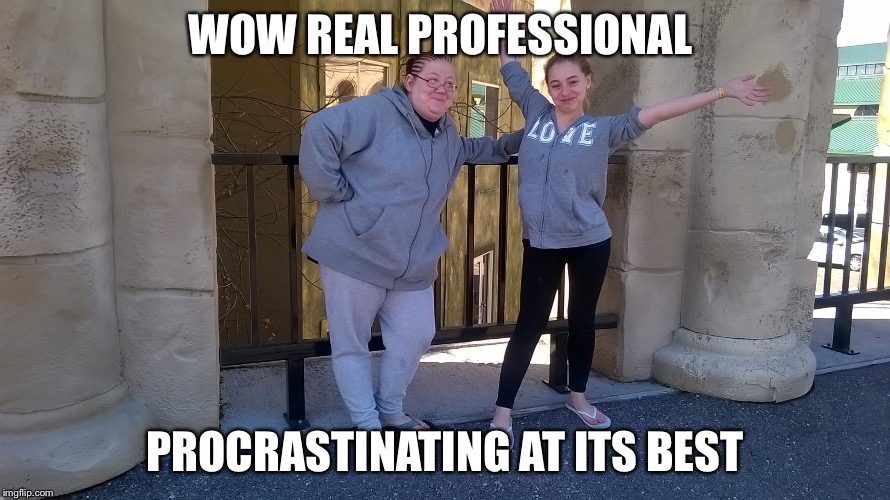 WOW REAL PROFESSIONAL; PROCRASTINATING AT ITS BEST | image tagged in wow | made w/ Imgflip meme maker