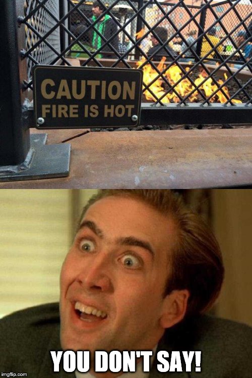 DUUUUUUH! | YOU DON'T SAY! | image tagged in nick cage,memes,duh | made w/ Imgflip meme maker