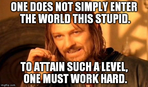 One Does Not Simply Meme |  ONE DOES NOT SIMPLY ENTER THE WORLD THIS STUPID. TO ATTAIN SUCH A LEVEL, ONE MUST WORK HARD. | image tagged in memes,one does not simply | made w/ Imgflip meme maker