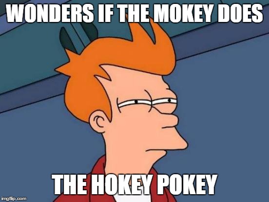Futurama Fry Meme | WONDERS IF THE MOKEY DOES THE HOKEY POKEY | image tagged in memes,futurama fry | made w/ Imgflip meme maker