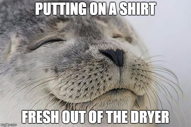 WARMTH! | PUTTING ON A SHIRT; FRESH OUT OF THE DRYER | image tagged in memes,satisfied seal | made w/ Imgflip meme maker
