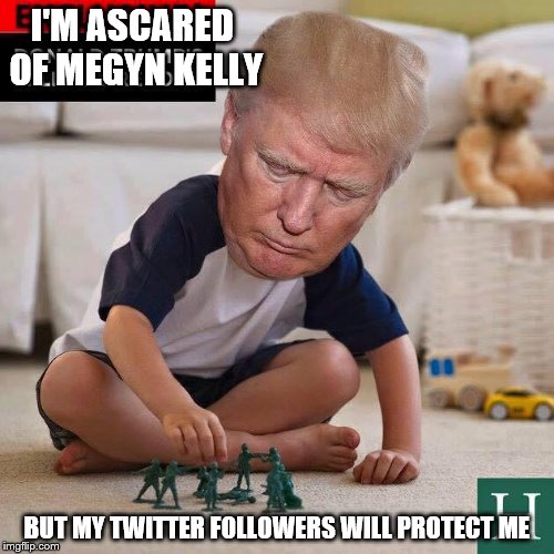 Big Baby | I'M ASCARED OF MEGYN KELLY; BUT MY TWITTER FOLLOWERS WILL PROTECT ME | image tagged in memes,donald trump,fox news | made w/ Imgflip meme maker