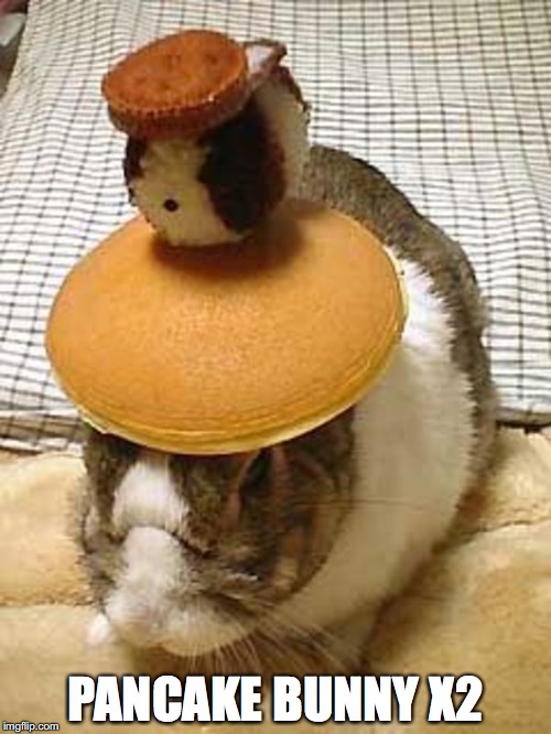 Mini Pancake Bunny On Top of Original | PANCAKE BUNNY X2 | image tagged in memes | made w/ Imgflip meme maker