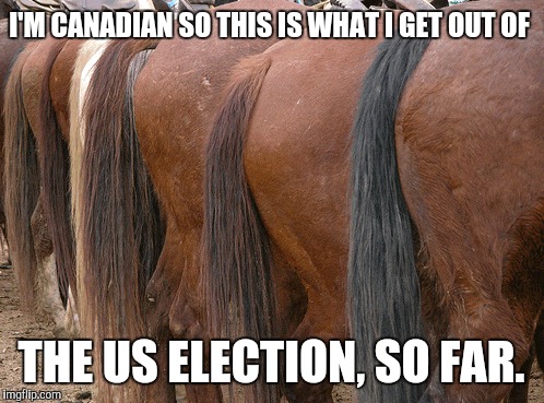 My hand at a pollitical meme. Your candidates folks. | I'M CANADIAN SO THIS IS WHAT I GET OUT OF; THE US ELECTION, SO FAR. | image tagged in memes,funny,horses,ass | made w/ Imgflip meme maker