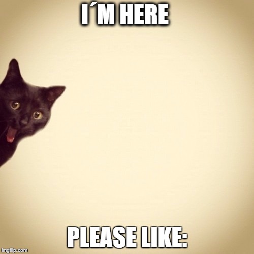 I´M HERE; PLEASE LIKE: | image tagged in cats,i like this post,pets | made w/ Imgflip meme maker