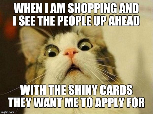 Scared Cat Meme | WHEN I AM SHOPPING AND I SEE THE PEOPLE UP AHEAD; WITH THE SHINY CARDS THEY WANT ME TO APPLY FOR | image tagged in memes,scared cat | made w/ Imgflip meme maker