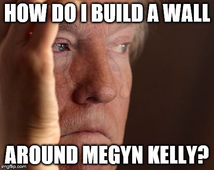 First World Trump Problems | HOW DO I BUILD A WALL; AROUND MEGYN KELLY? | image tagged in memes,donald trump,fox news,first world problems | made w/ Imgflip meme maker