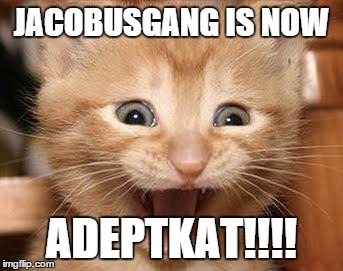 Excited Cat | JACOBUSGANG IS NOW; ADEPTKAT!!!! | image tagged in memes,excited cat | made w/ Imgflip meme maker