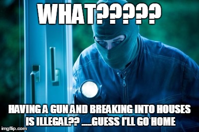 Nice criminal | WHAT????? HAVING A GUN AND BREAKING INTO HOUSES IS ILLEGAL?? .....GUESS I'LL GO HOME | image tagged in criminal,ski mask robber,guns,gun control | made w/ Imgflip meme maker