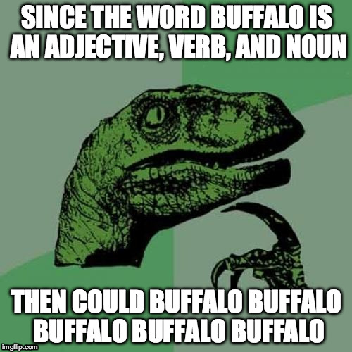 Philosoraptor | SINCE THE WORD BUFFALO IS AN ADJECTIVE, VERB, AND NOUN; THEN COULD BUFFALO BUFFALO BUFFALO BUFFALO BUFFALO | image tagged in memes,philosoraptor | made w/ Imgflip meme maker