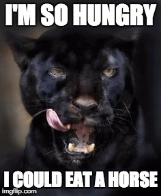 Hungry Panther | I'M SO HUNGRY; I COULD EAT A HORSE | image tagged in hungry panther | made w/ Imgflip meme maker
