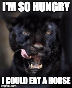 Image result for panther meme