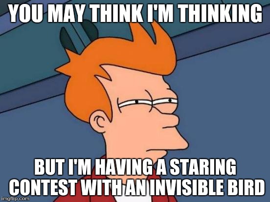 Futurama Fry Meme | YOU MAY THINK I'M THINKING; BUT I'M HAVING A STARING CONTEST WITH AN INVISIBLE BIRD | image tagged in memes,futurama fry | made w/ Imgflip meme maker