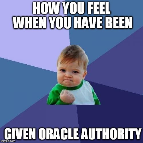 Success Kid Meme | HOW YOU FEEL WHEN YOU HAVE BEEN; GIVEN ORACLE AUTHORITY | image tagged in memes,success kid | made w/ Imgflip meme maker