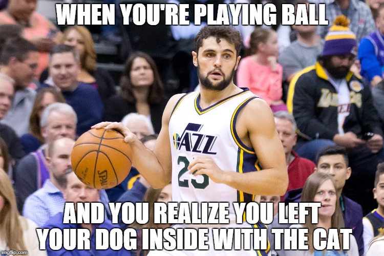 Your shoes, carpets, and furniture are not safe. | WHEN YOU'RE PLAYING BALL; AND YOU REALIZE YOU LEFT YOUR DOG INSIDE WITH THE CAT | image tagged in boom shakalaka,dog vs cat,dog,cat,uh oh | made w/ Imgflip meme maker