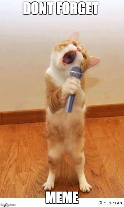 Cat Singer |  DONT FORGET; MEME | image tagged in cat singer | made w/ Imgflip meme maker