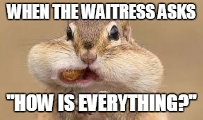 Chipmunk | WHEN THE WAITRESS ASKS; "HOW IS EVERYTHING?" | image tagged in chipmunk | made w/ Imgflip meme maker