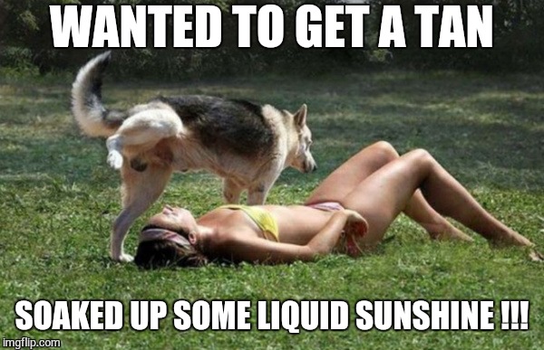 Liquid Sunshine  | WANTED TO GET A TAN; SOAKED UP SOME LIQUID SUNSHINE !!! | image tagged in liquid sunshine,golden tan,tanning fail,rude dog,funny meme | made w/ Imgflip meme maker