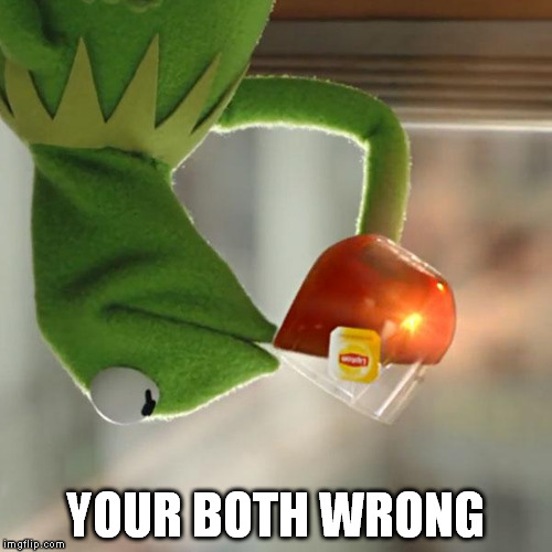But That's None Of My Business Meme | YOUR BOTH WRONG | image tagged in memes,but thats none of my business,kermit the frog | made w/ Imgflip meme maker