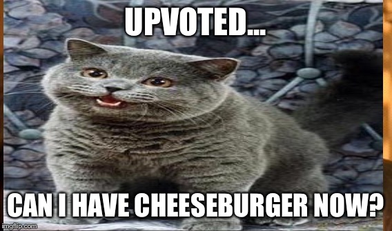 UPVOTED... CAN I HAVE CHEESEBURGER NOW? | made w/ Imgflip meme maker