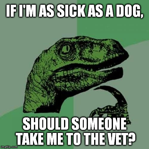 Philosoraptor | IF I'M AS SICK AS A DOG, SHOULD SOMEONE TAKE ME TO THE VET? | image tagged in memes,philosoraptor | made w/ Imgflip meme maker