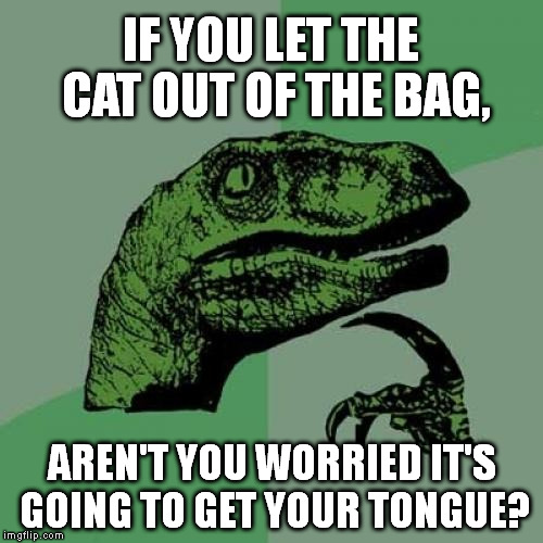 Philosoraptor Meme | IF YOU LET THE CAT OUT OF THE BAG, AREN'T YOU WORRIED IT'S GOING TO GET YOUR TONGUE? | image tagged in memes,philosoraptor | made w/ Imgflip meme maker