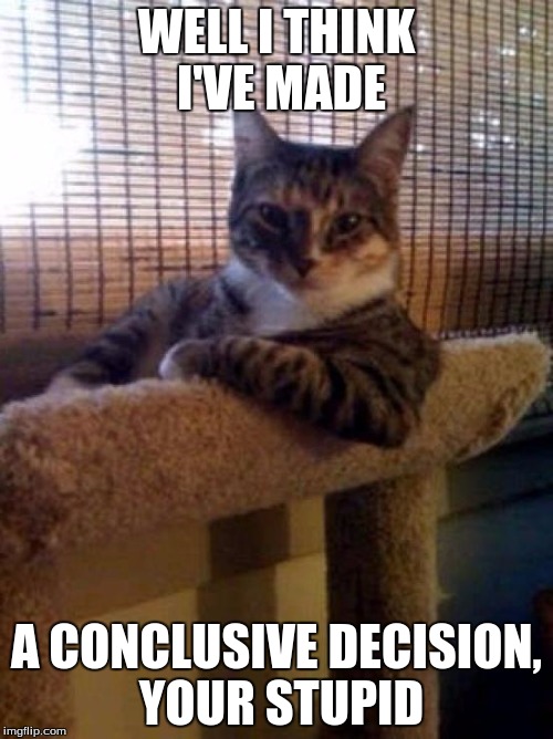 cats | WELL I THINK I'VE MADE; A CONCLUSIVE DECISION, YOUR STUPID | image tagged in cats | made w/ Imgflip meme maker