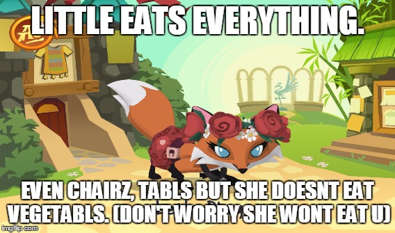 Little The Fox | LITTLE EATS EVERYTHING. EVEN CHAIRZ, TABLS BUT SHE DOESNT EAT VEGETABLS. (DON'T WORRY SHE WONT EAT U) | image tagged in little,aj,animaljam | made w/ Imgflip meme maker
