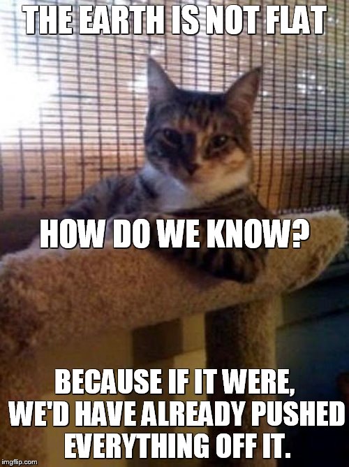 The Most Interesting Cat in the World says: | THE EARTH IS NOT FLAT; HOW DO WE KNOW? BECAUSE IF IT WERE, WE'D HAVE ALREADY PUSHED EVERYTHING OFF IT. | image tagged in cats,the most interesting cat in the world | made w/ Imgflip meme maker