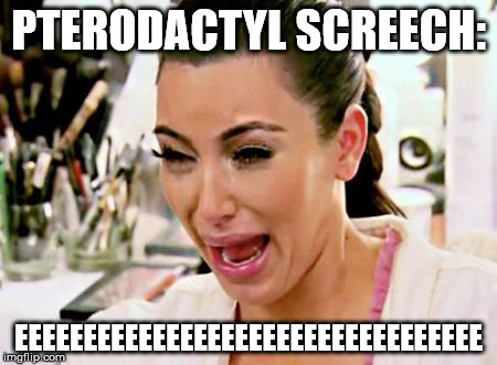 Kim Kardashian | PTERODACTYL SCREECH:; EEEEEEEEEEEEEEEEEEEEEEEEEEEEEEEEEE | image tagged in kim kardashian | made w/ Imgflip meme maker