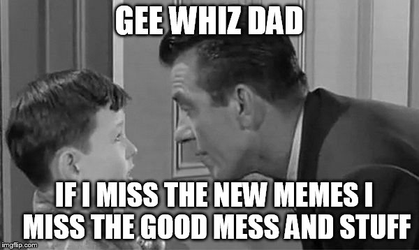 GEE WHIZ DAD IF I MISS THE NEW MEMES I MISS THE GOOD MESS AND STUFF | made w/ Imgflip meme maker