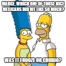 The problem the Republicans have | MARGE, WHICH ONE OF THOSE NICE MEXICANS DID WE LIKE SO MUCH? WAS IT FROOZE OR CRUBIO? | image tagged in simpsons,homer simpson,ted cruz,marco rubio,republicans,racism | made w/ Imgflip meme maker
