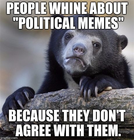 Confession Bear Meme | PEOPLE WHINE ABOUT "POLITICAL MEMES"; BECAUSE THEY DON'T AGREE WITH THEM. | image tagged in memes,confession bear | made w/ Imgflip meme maker