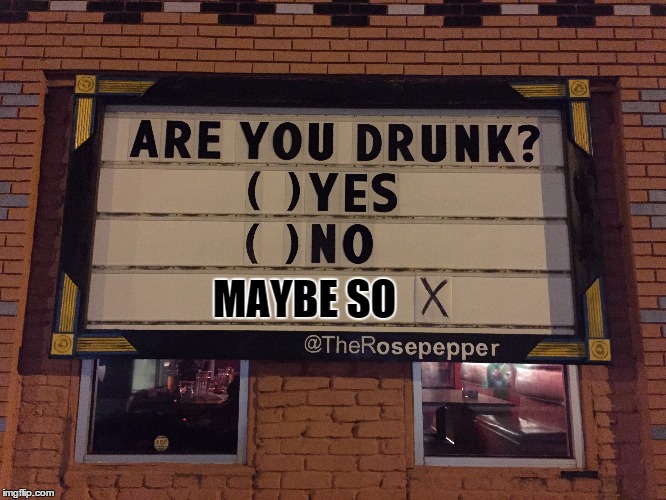 Maybe so | MAYBE SO | image tagged in are you drunk,yes,no,maybe so | made w/ Imgflip meme maker