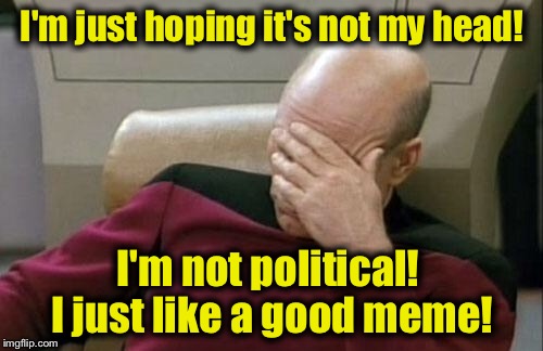 Captain Picard Facepalm Meme | I'm just hoping it's not my head! I'm not political!  I just like a good meme! | image tagged in memes,captain picard facepalm | made w/ Imgflip meme maker