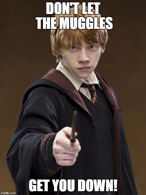 Ron Weasley Know It | DON'T LET THE MUGGLES; GET YOU DOWN! | image tagged in ron weasley know it | made w/ Imgflip meme maker