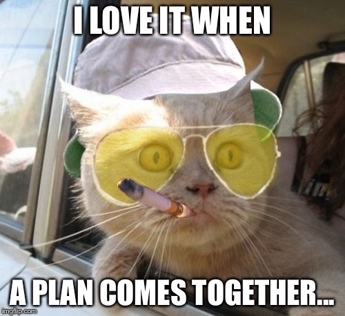 Fear And Loathing Cat Meme | I LOVE IT WHEN; A PLAN COMES TOGETHER... | image tagged in memes,fear and loathing cat | made w/ Imgflip meme maker