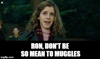 Just Hermione | RON, DON'T BE SO MEAN TO MUGGLES | image tagged in just hermione | made w/ Imgflip meme maker