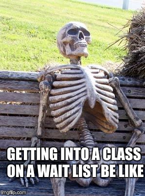 The Struggles of A New Semester | GETTING INTO A CLASS ON A WAIT LIST BE LIKE | image tagged in memes,waiting skeleton,college freshman,success kid | made w/ Imgflip meme maker