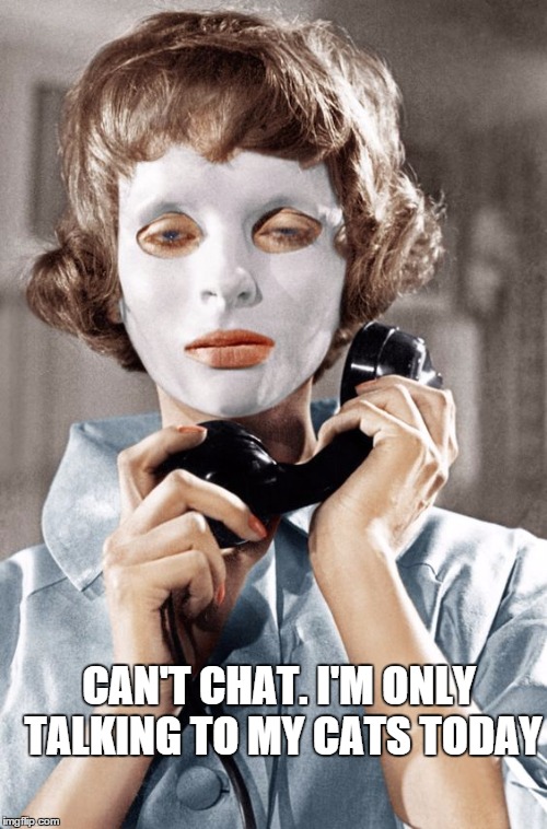 Psychopath cat lady | CAN'T CHAT. I'M ONLY TALKING TO MY CATS TODAY | image tagged in cat chat,funny meme,crazy cat lady | made w/ Imgflip meme maker