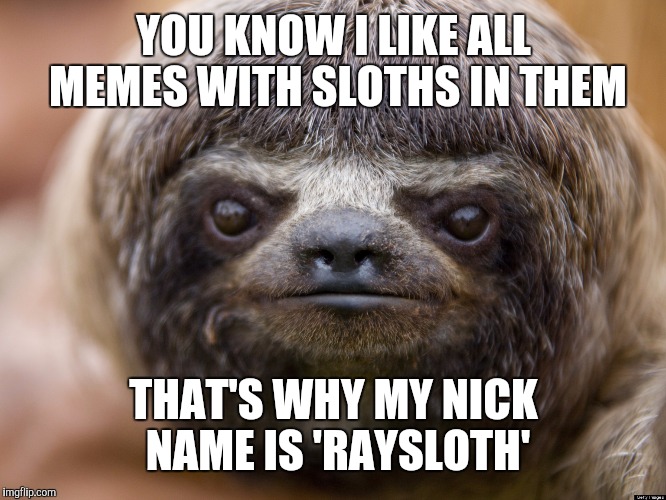 Sloth | YOU KNOW I LIKE ALL MEMES WITH SLOTHS IN THEM; THAT'S WHY MY NICK NAME IS 'RAYSLOTH' | image tagged in sloth | made w/ Imgflip meme maker