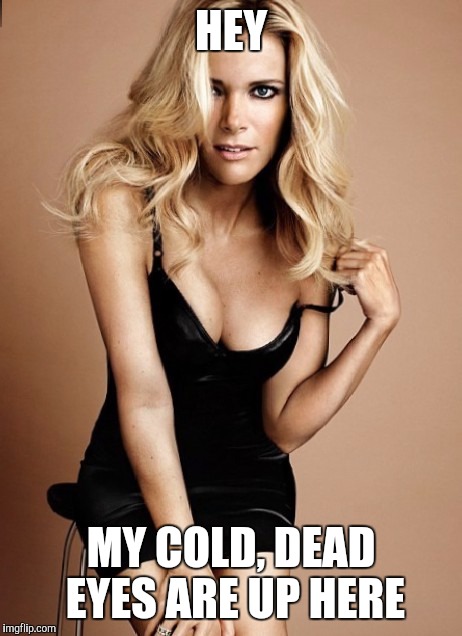 Megyn Kelly  | HEY; MY COLD, DEAD EYES ARE UP HERE | image tagged in megyn kelly | made w/ Imgflip meme maker