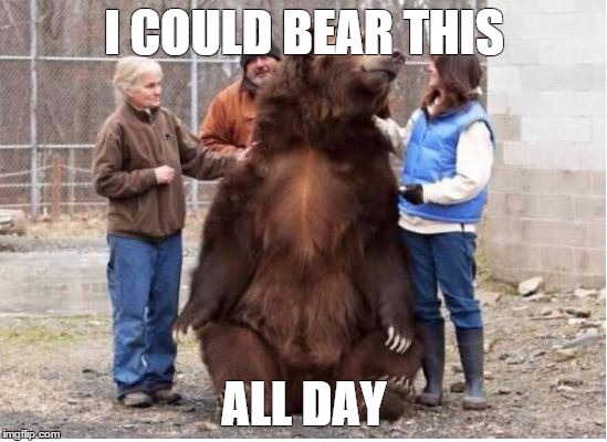 I COULD BEAR THIS; ALL DAY | image tagged in all day | made w/ Imgflip meme maker
