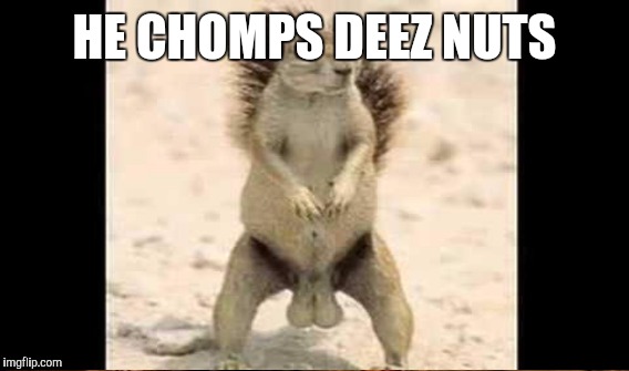 HE CHOMPS DEEZ NUTS | made w/ Imgflip meme maker