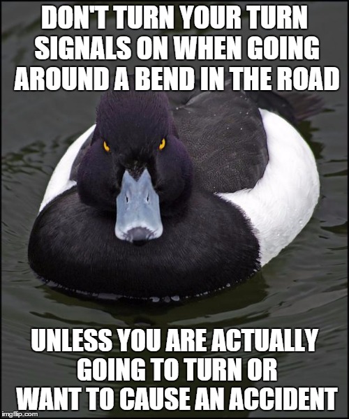 Angry duck | DON'T TURN YOUR TURN SIGNALS ON WHEN GOING AROUND A BEND IN THE ROAD; UNLESS YOU ARE ACTUALLY GOING TO TURN OR WANT TO CAUSE AN ACCIDENT | image tagged in angry duck | made w/ Imgflip meme maker